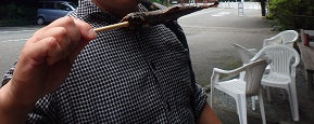 遠回りして帰る (阿蘇~菊地渓谷)_d0195183_2115157.jpg