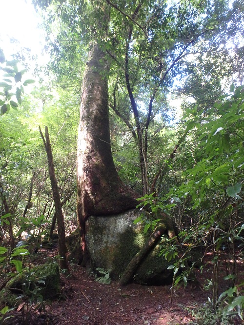 遠回りして帰る (阿蘇~菊地渓谷)_d0195183_2161643.jpg