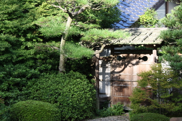 そして小泉八雲の称える 月照寺 へ2015.9.7_b0174284_00174488.jpg