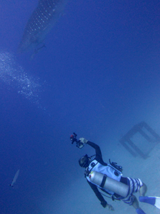 f0144385_00184666.jpg