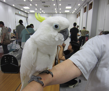 f0234590_929312.png