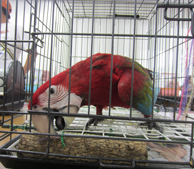 f0234590_9294446.png