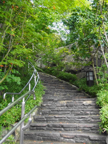a0236996_16188.jpg