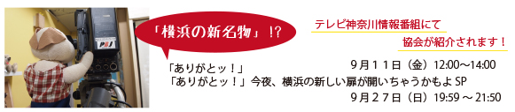 TVKさんの取材を受けました。9/11 12:00より放送されます！_f0256400_10385366.jpg