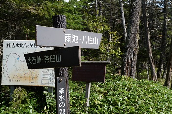 a0158702_18155339.jpg