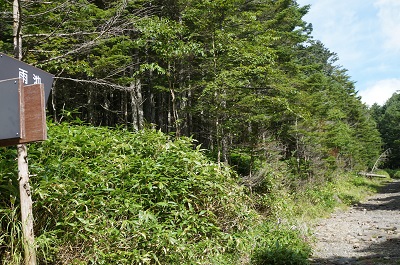 a0158702_18191722.jpg