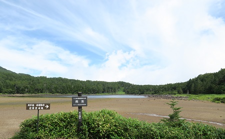 a0158702_18193819.jpg
