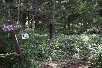 a0158702_182075.jpg
