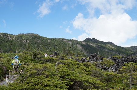 a0158702_18221327.jpg