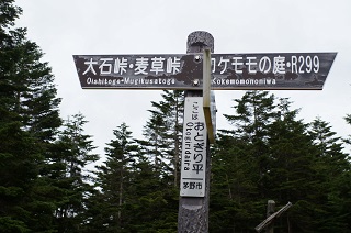 a0158702_18224929.jpg