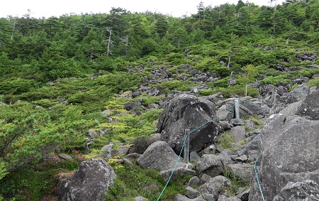 a0158702_1823722.jpg