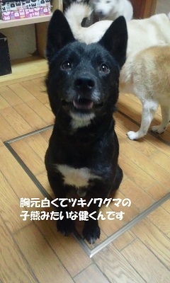 健くん とっても元気になりました!_f0242002_1331746.jpg