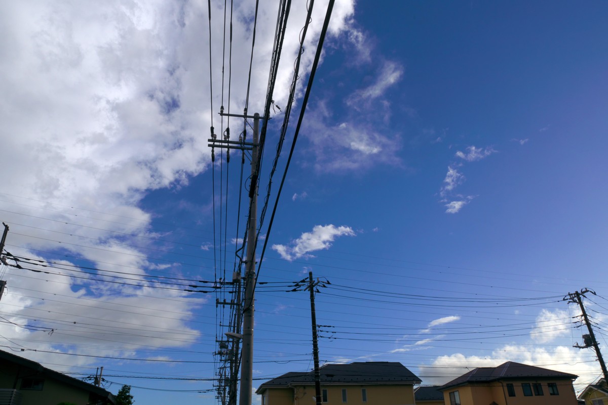 台風一過（？）_c0156404_1953306.jpg