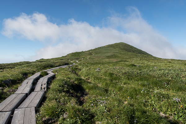 b0244811_23213764.jpg