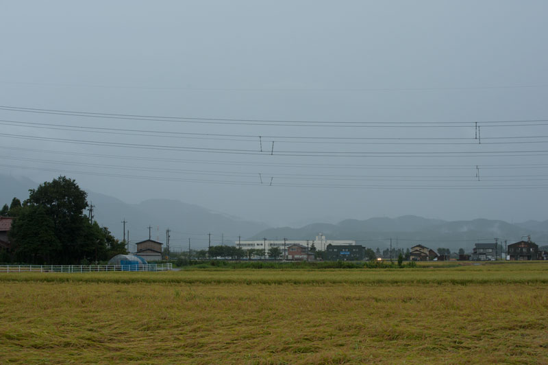 a0278914_616739.jpg