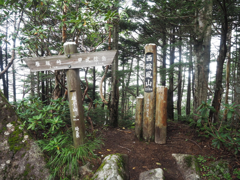 甲武信ヶ岳～雁坂峠～西沢渓谷_f0330321_22582773.jpg