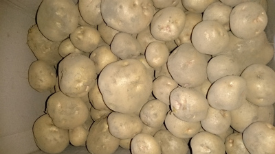 b0128423_040525.jpg