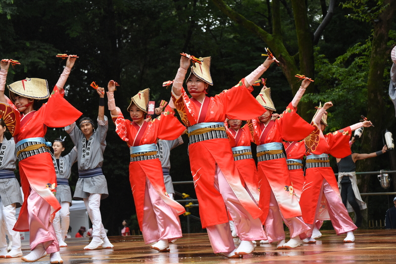 原宿スーパーよさこい2015　帯屋町筋　（敬称略）　高知県_c0276323_10512483.jpg