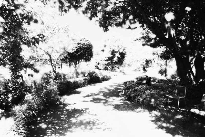 c0109827_17352356.jpg