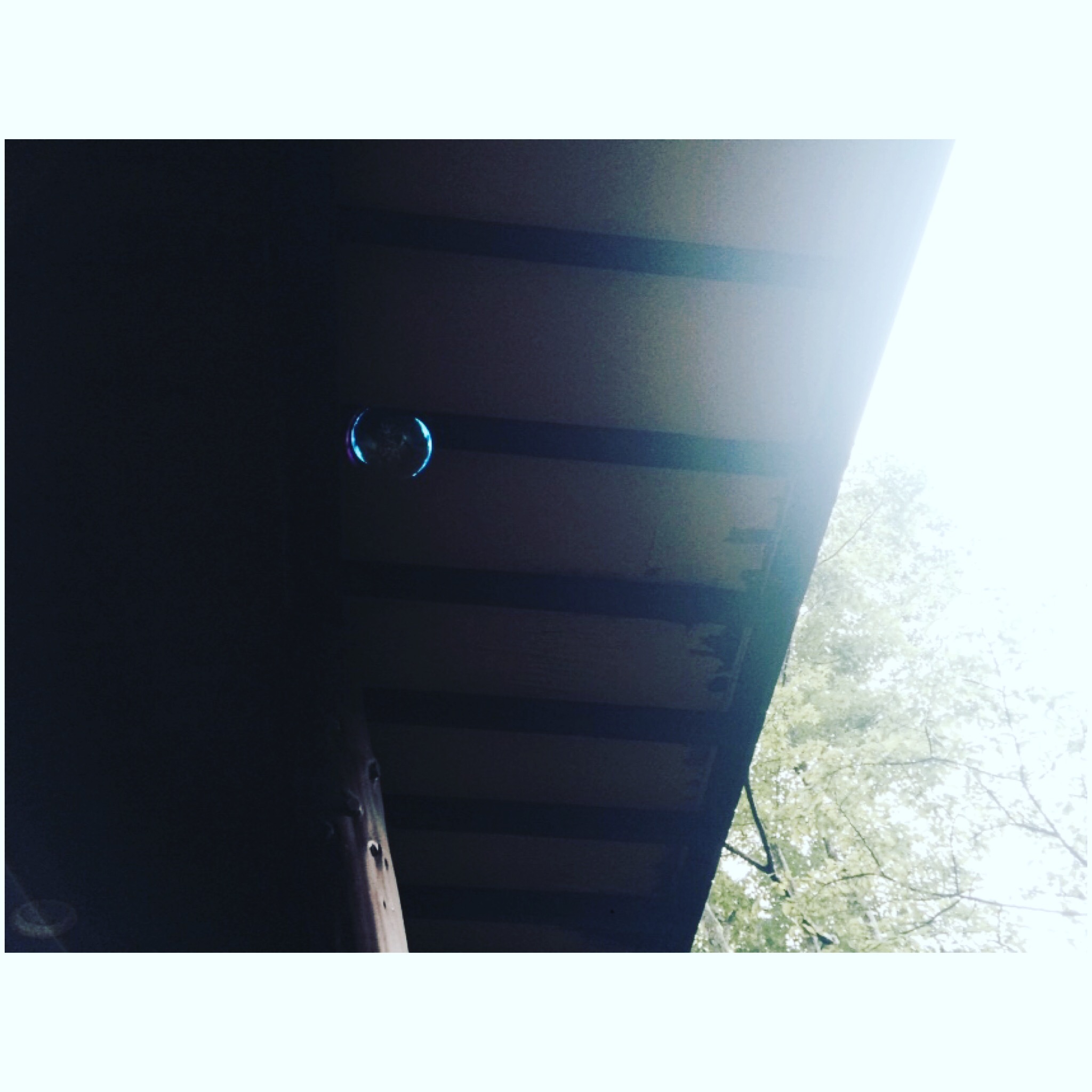 e0321631_12411254.jpg