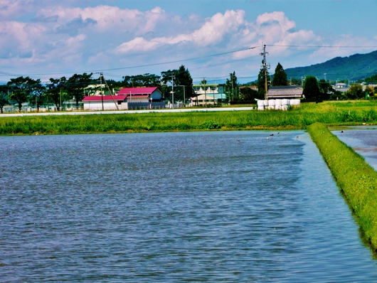 a0206332_845235.jpg