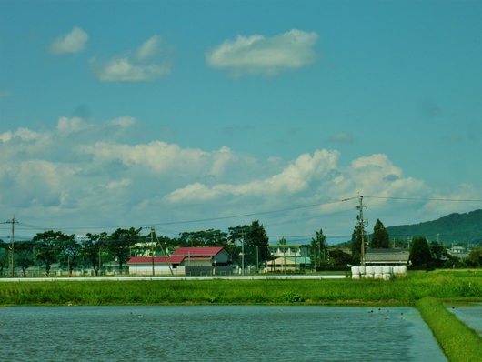 a0206332_8452761.jpg