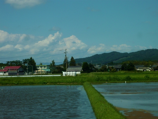 a0206332_8461877.jpg