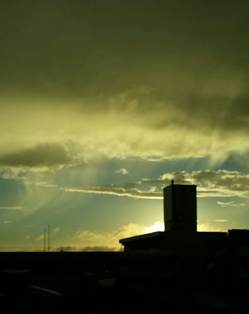 a0013236_17480895.jpg