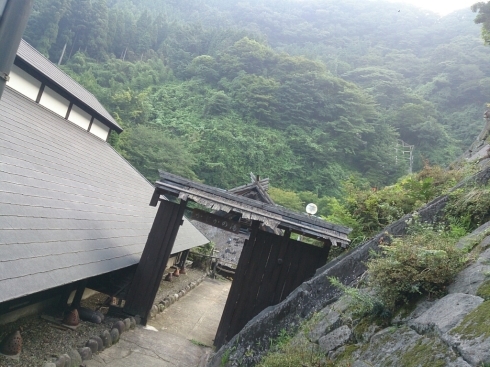 d0068151_22372547.jpg