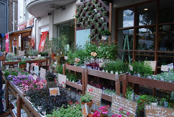 植替え準備はできていますか??_a0201358_168206.jpg