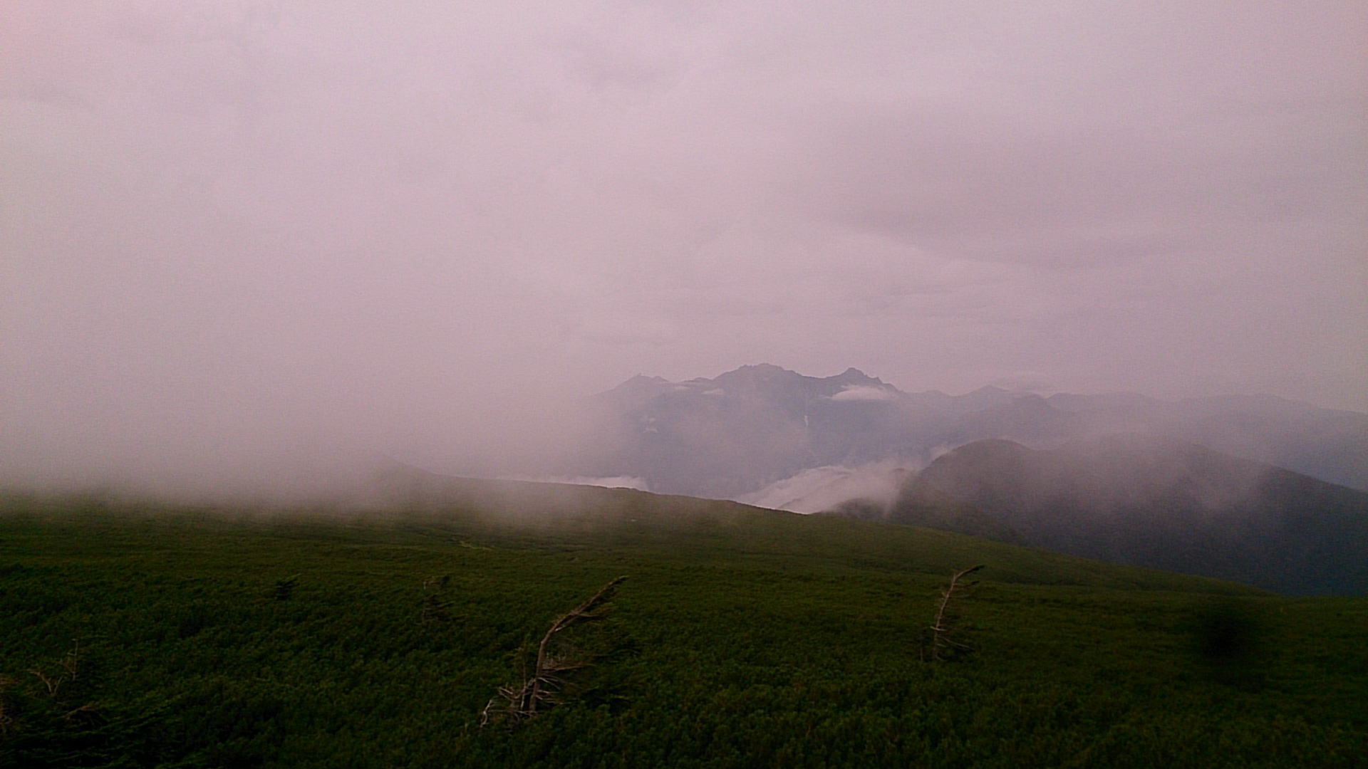 d0163759_16415584.jpg