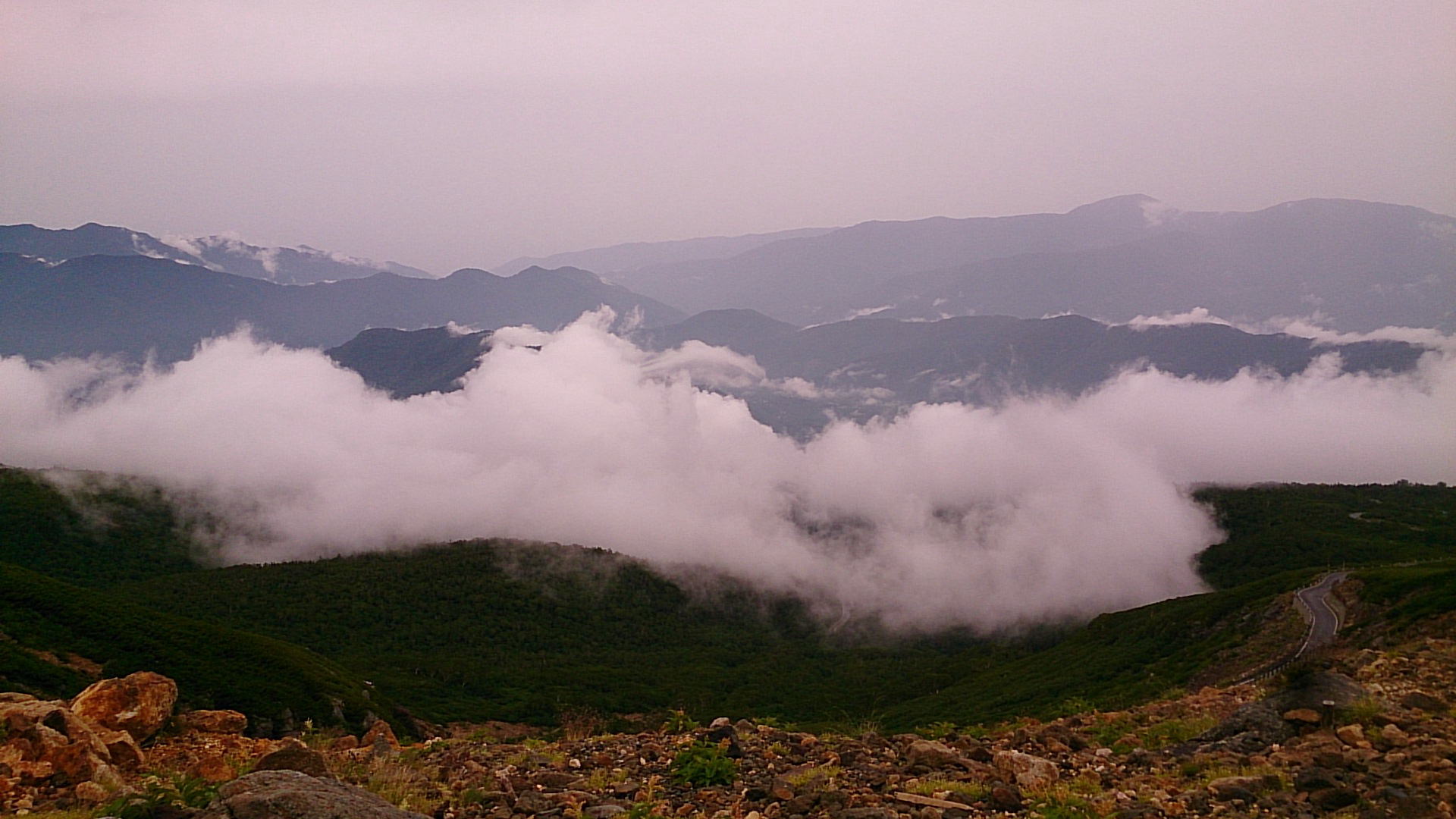 d0163759_16422224.jpg