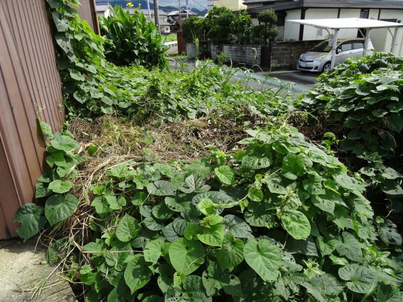 c0108460_20334244.jpg