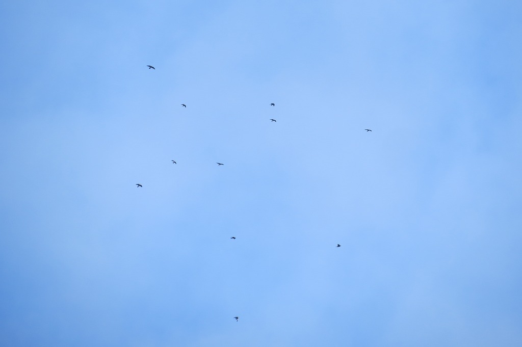 b0104861_17584821.jpg