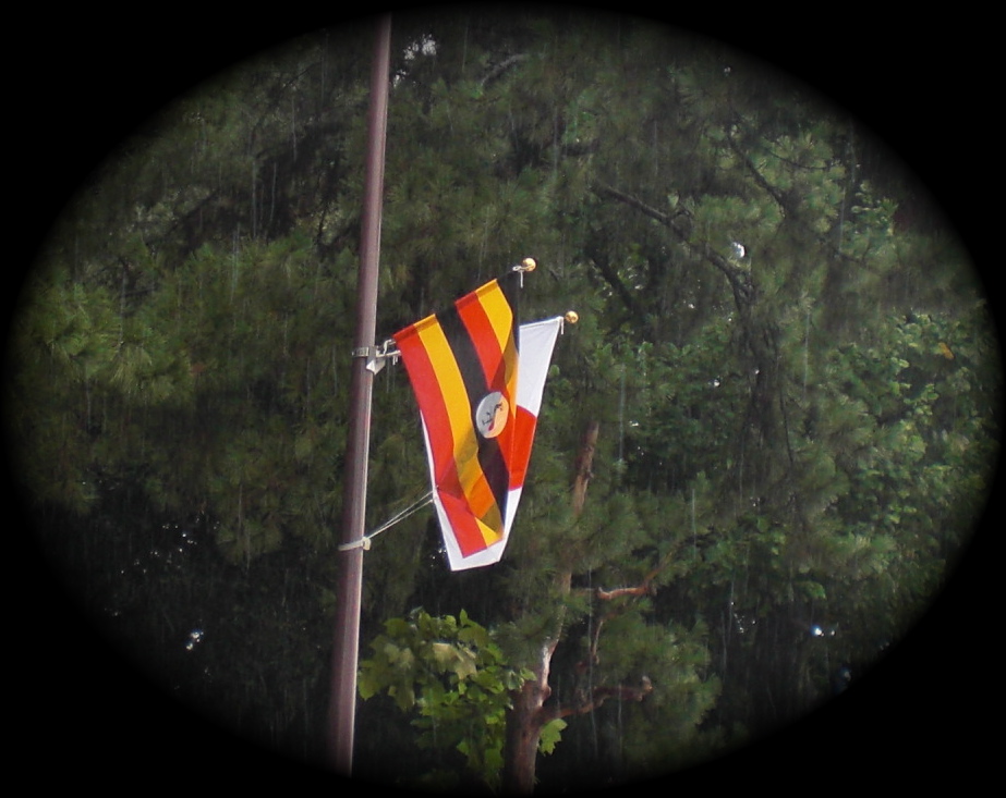 大雨にはためく ウガンダと日の丸の国旗 Reiko Gogo日記