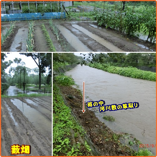 台風18号は東海地方へ接近中　雨の日はPC遊び_d0007071_1118501.jpg