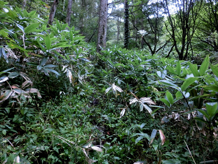 b0185573_101456.jpg