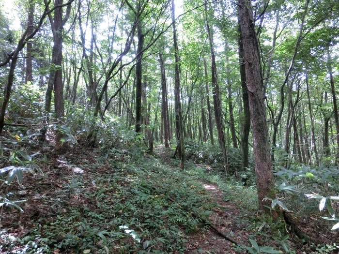 b0185573_11254469.jpg