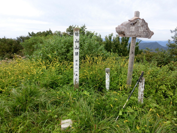 b0185573_1141249.jpg
