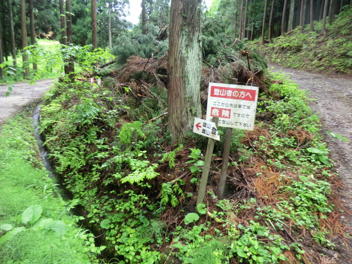 b0185573_9172790.jpg