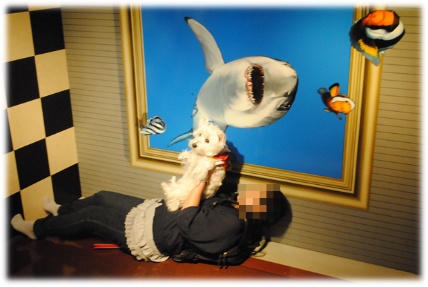 b0242873_00055339.png