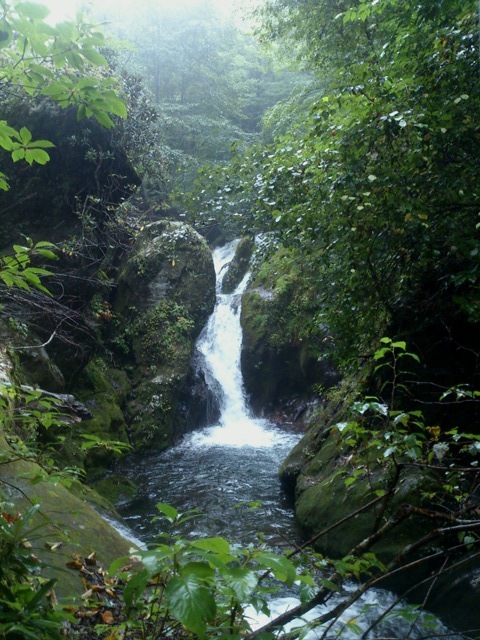 雨の山岳渓流_c0157482_10475100.jpg