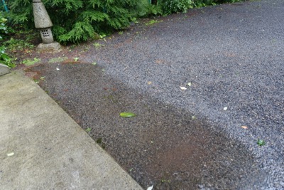 台風の影響で大雨_d0133485_12102457.jpg