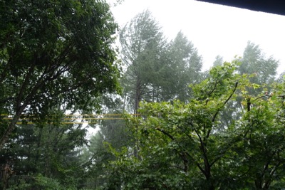 台風の影響で大雨_d0133485_1245611.jpg