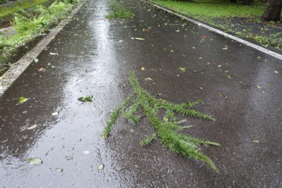 台風の影響で大雨_d0133485_1281890.jpg