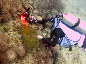 f0144385_22281463.jpg