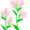 ピーマンとささ身でチリソース・・!! _f0229190_1775481.gif