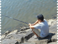e0186500_10103661.png