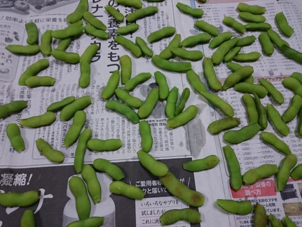 9/9 自宅で居酒屋_b0042308_925456.jpg