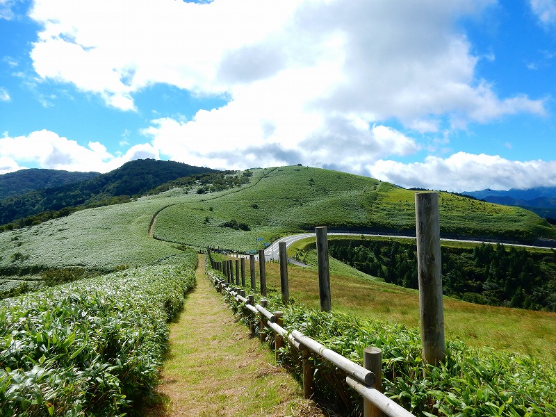 f0182513_226355.jpg